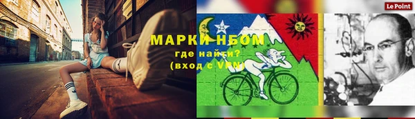 прущие грибы Алексин
