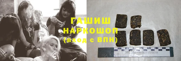 хмурый Алзамай