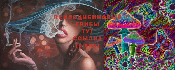 прущие грибы Алексин