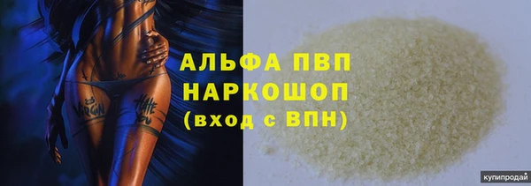 ПСИЛОЦИБИНОВЫЕ ГРИБЫ Михайлов