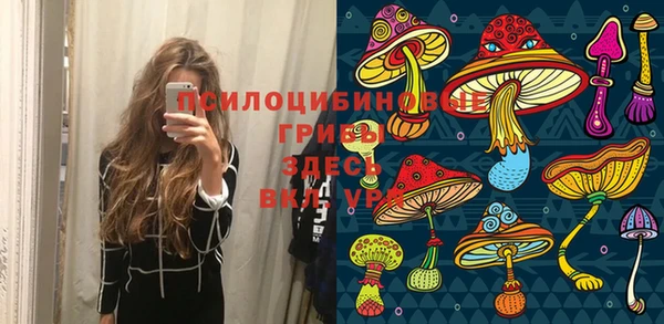 молекула духа Абинск