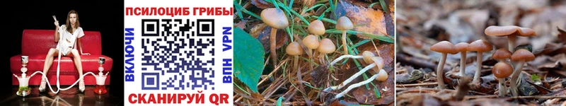 МЕГА как зайти Нягань Галлюциногенные грибы Psilocybine cubensis где можно купить